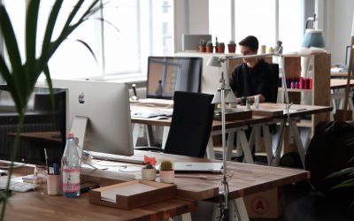 Seguros para empresas:  todo lo que debes saber