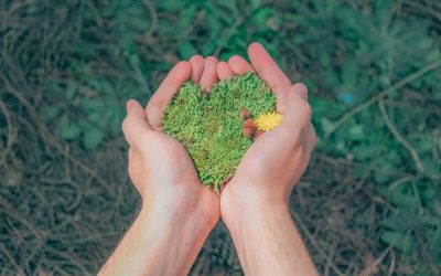 22 d’abril, dia de la Mare Terra; assegurança de Responsabilitat Mediambiental